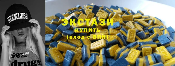 ECSTASY Бородино